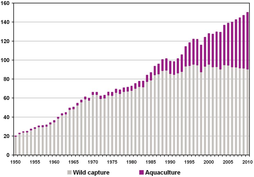 Aquaculture production is required to cover the increasing global demand Development of wild capture vs.