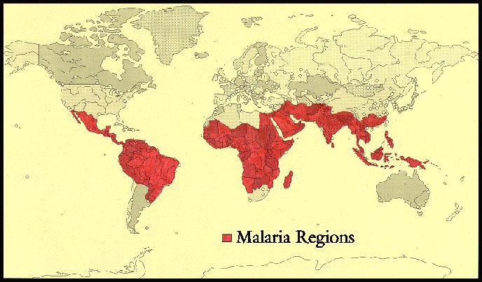 Malaria Endemic Regions http://icb.
