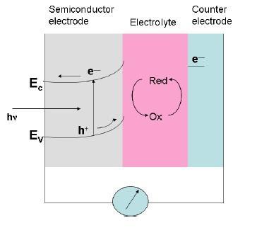 Figure 2. Schematic of regenerative photoelectrochemical cell. 7 1.