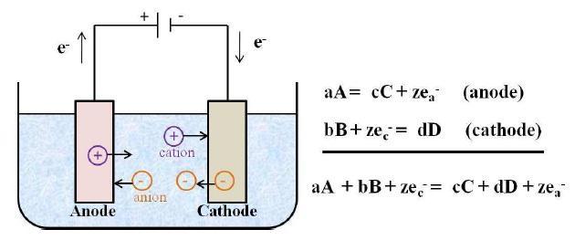 Figure 3. Electrodes in an electrolytic cell.