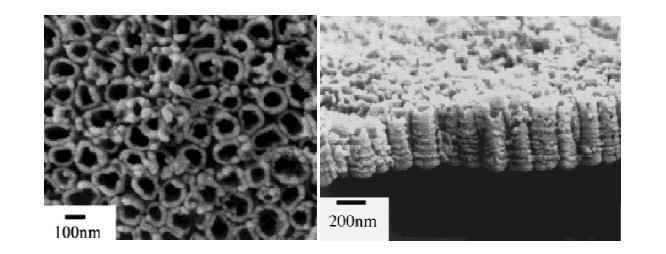 Figure 5. FESEM images showing top-view and cross-section of TiO 2 nanotube arrays fabricated in 0.