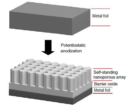 Schematic representation of a generic metal oxide nanoporous array structure obtained via potentiostatic anodization.