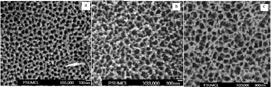 which would be characteristic of stable pore formation and nanotube growth. Hence no nanotubes are achieved under these anodization conditions. Figure 8. FESEM images of iron anodized in 1% HF + 0.