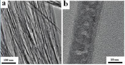 Figure 14. (a) TEM and (b) HRTEM images of as-prepared CuO nanobelts with a diameter of 5-10nm and lengths of up to several micrometers. 50 In 2007, Singh et al.