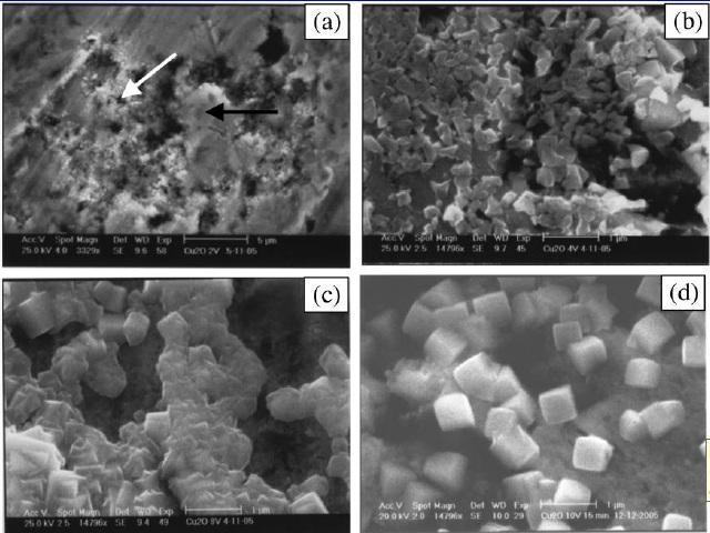 Figure 15. TEM micrographs of the synthesized nanostructures at (a) 2 V, (b) 4 V, (c) 8 V, (d) 10 V. 51 Perhaps the closest work to the study of this thesis was reported by La et al. in 2010.