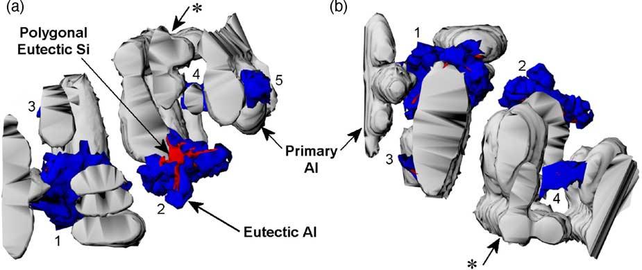 In each case, a small region, shown outlined, was used to construct the three-dimensional model of the microstructure.