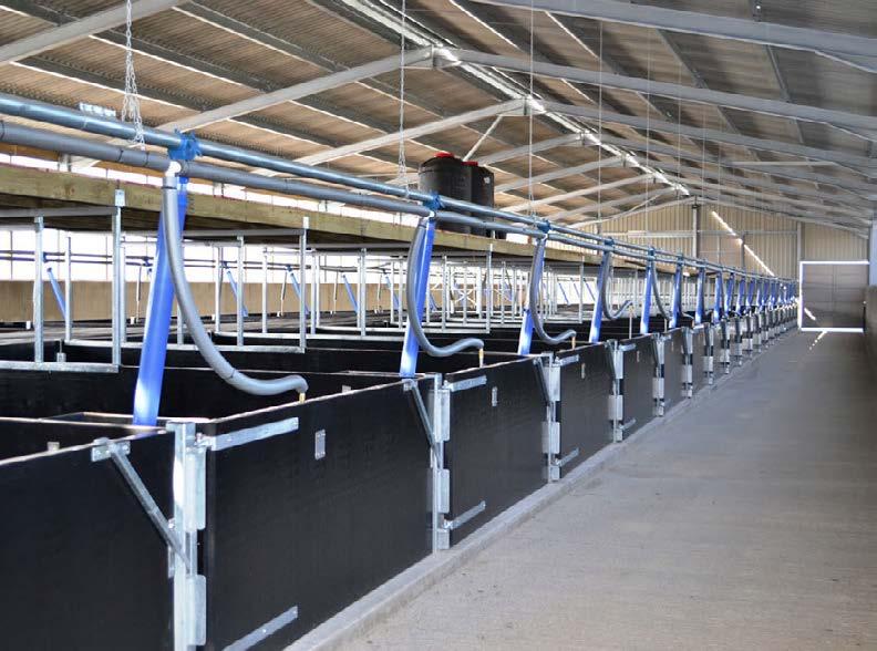 During this time we have developed and introduced equipment and systems with the purpose of constantly improving animal welfare combined with efficiency and profitability for the pig farmer.