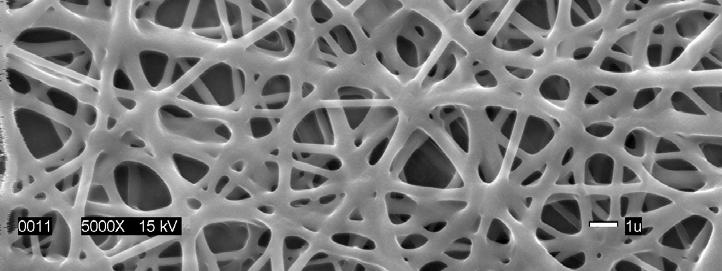 The fibers are interconnected with various sizes and shapes of pores forming a network.