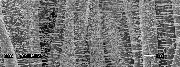 Despite the concern that the nanofiber web will not bond to the melt spun fibers, combining electrospinning and melt spinning of PLCL copolymers to fabricate a multilayered tubular construct was