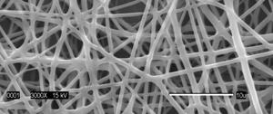 11-Examples of SEM micrographs taken to measure the fiber diameters The results showed peak fiber