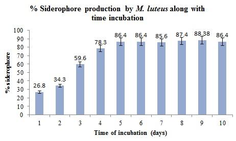 for siderophore production by M.