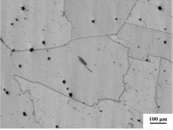 Another set of samples were cut from a wrought bar, with modified dual-phase microstructure. The grain size is about 5 1 micro meters, with coarse γ at grain boundaries.