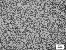 Hot plasticity improvement of the modified dualphase microstructure (.1 s 1 ). 5µm Figure 9. Modified dual-phase microstructure gotten by γ coarsening and full recrystallization.