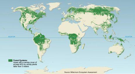 Forests cover 30% of the total land area