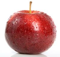 D- 95-08: General Import Requirements for Fresh Temperate Fruits from the World Apples, grapes, nectarines, peaches, cherries pears are some examples of Temperate fruits.