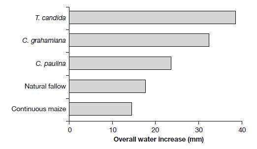 significant improvement in soil water storage has been observed in the improved fallow systems (Orindi, 2002); Change in soil water stocks (0 60 cm depth) in a western Kenyan soil under continuous