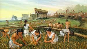 The Rise of Civilization The first farm settlements formed in Mesopotamia as early as 7000 BC. Farmers grew wheat, barley, and other types of grain.