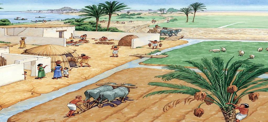 Controlling Water To solve their problems, Mesopotamians used irrigation, a way of supplying water to an area of land. To irrigate their land, they dug out large storage basins to hold water supplies.