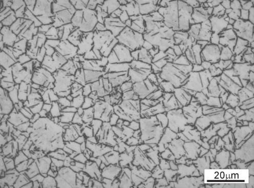 Fig. 1 Microstructure of the investigated alloy in as-delivered condition 3.