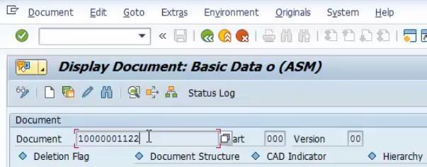 Document Management System (DMS) 2016 SAP