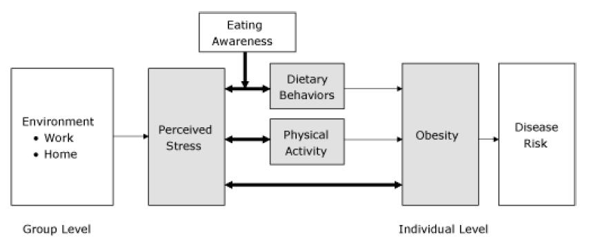 Environmental and individual factors Perceived stress, behaviour, and BMI among adults participating in a worksite obesity prevention program, Seattle, 2005-2007. Barrington WE, et al.