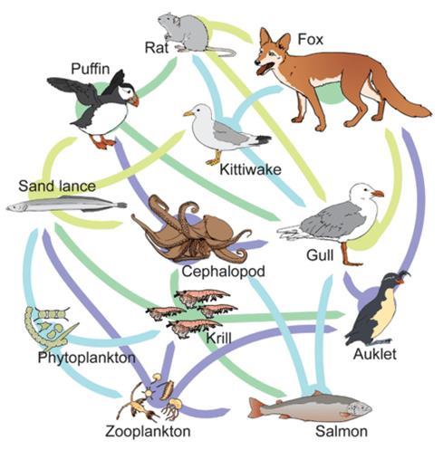 The Nutrient Cycle Changes to the ecosystem Different parts of an ecosystem depend on each other, and there's