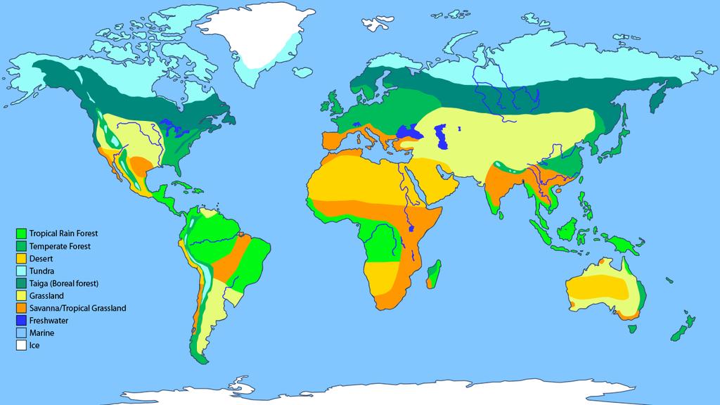 Distribution of Biomes Different ecosystems are found in different parts of the world due to the influence of climate and soils.