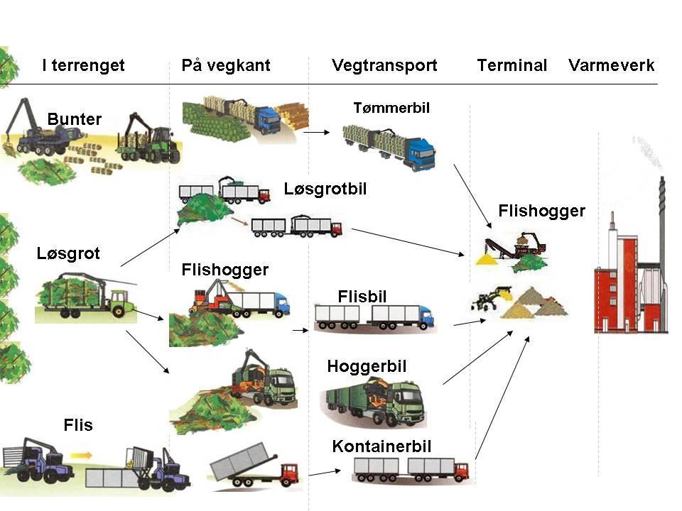 DEVELOPMENT OF A BIOENERGY REGION AND CLUSTER In Norway the project Arena Bioenergy Inland is an example on how the development of a bioenergy region can take place, based on the possibilities in our