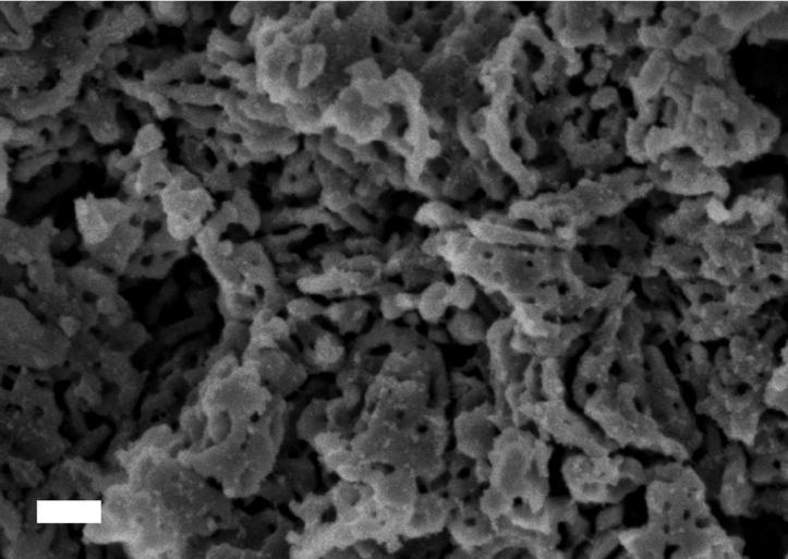Nano-porous Upsalite Upsalite is a nano-porous amorphous magnesium carbonate synthesized without the use of surfactants as pore