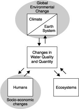 Water Cycling Deeply Embedded in Earth System Interconnections are