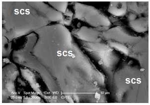 (a) (b) Fig.3 (a) Microstructure and (b) EDS analysis of SCS phase for CHA-10 wt.