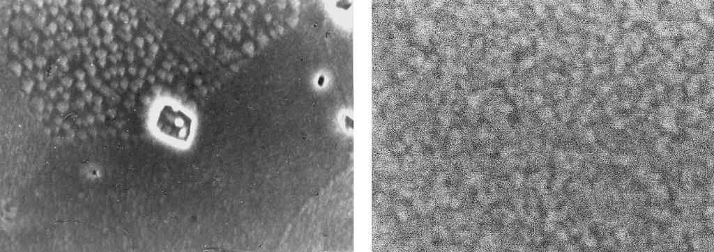 SYNCHROTRON X-RAY DIFFRACTION STUDY OF NANOSTRUCTURED 9 (а) µm (b) nm Fig.. SEM micrographs of the surface of nanostructured хer O ( x)tio solid solutions: (a) mol % Er O, polycrystal; (b).