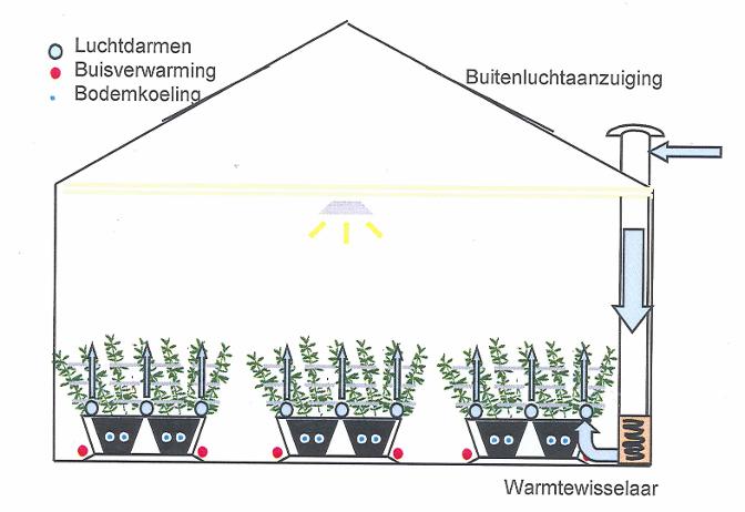 Alstroemeria Schematic representation of a air circulation system with tubes in beds