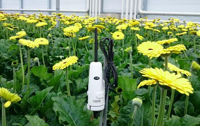 Monitoring greenhouse and plant climate Remote temperature and humidity