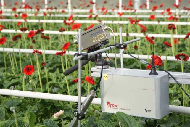New Generation Growing Since 2007 growers are using the tools of the new generation growing: - Many growers have attended a course of NGG to understand physics of plant and