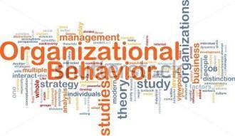 Organizational Learning Organizational Knowledge Performance Evaluation Performance Quality