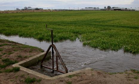 2. Block off a portion of the irrigation canal, and fill that section with pumped water and reclaimed rain or tailwater. Irrigate a portion of the field until the canal is drawn down.