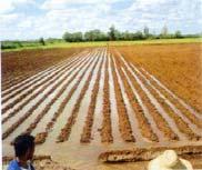 in irrigated areas installation of irrigation in rainfed areas with drainage 1-2%