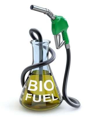 Biobased fuel and plastic production Co- and Fe-