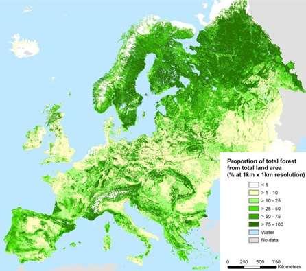 Carbon sources from lignocelluloses Finland is one of the most forested country in Europe 76 % of land area is forest * In Finland, up to 20 million tons of waste