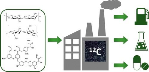 Biomass-based catalysts?