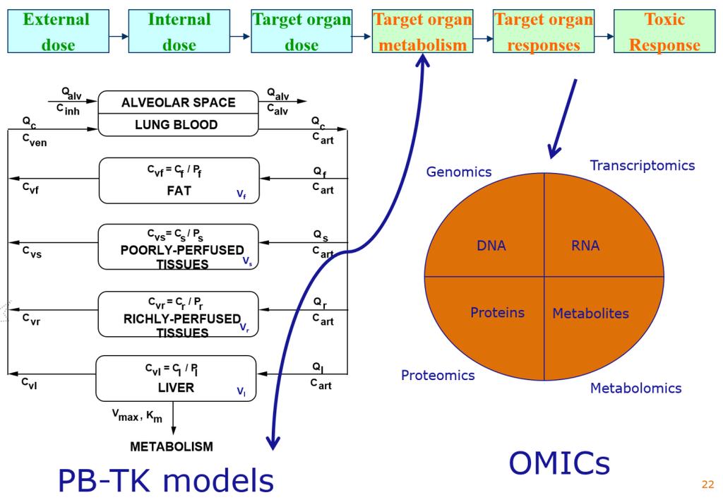 Future Mixture RA EFSA TK AND MULTIPLE CHEMICALS : TOOLS AND MODELS Procurement call on the integration of TK tools in chemical risk assessment applied to human health, animal health and the