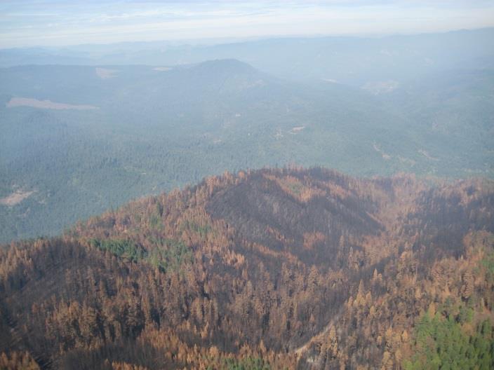 Figure 49. Burn Severity Photos Fire behavior during the Whiskey Complex typically burned in a mosaic fashion across the landscape.