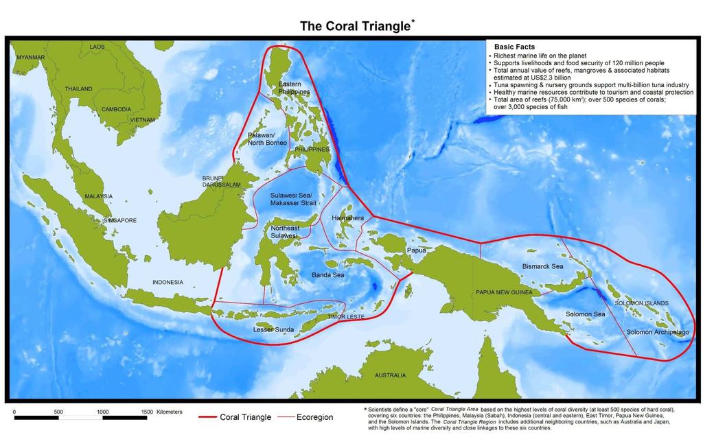 Coastal &Marine Environment: Highlight of Activities Coral Triangle Initiative (CTI) 6 countries: Indonesia, Malaysia, Papua New Guinea,