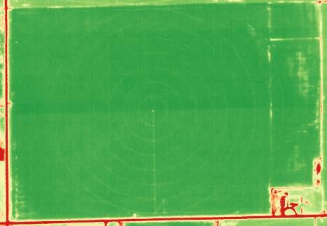 sensors indicated a significant need for irrigation. The NDVI generated from the manned plane aerial image matched well with the satellite aerial images.