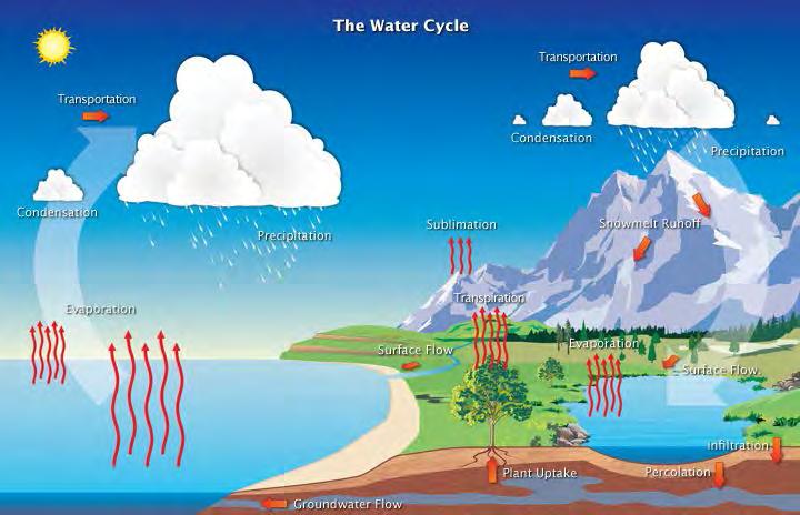 The Water Cycle and Water Insecurity Enquiry question 1: What are the processes operating within the hydrological cycle from global to local scale?