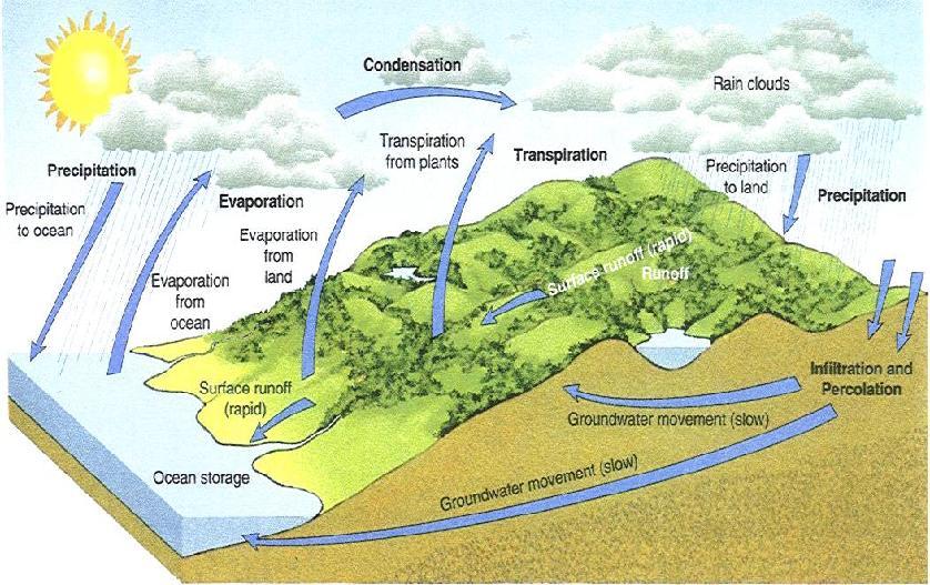 Hydrologic Cycle Evaporation