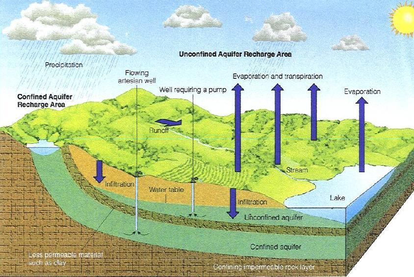 Groundwater Aquifer Underground layer of porous water bearing material (sand or gravel) Confined Between two impervious layers (clay or