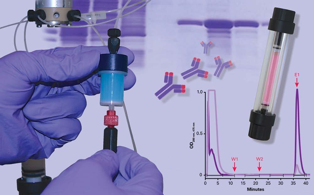 Protein Purification Products Complete Solutions