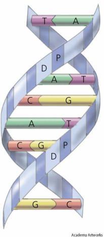 4 What is Serialization Master Data Master Data is the DNA for the Serialization Program It is the Identity of the Product and Company Data with necessary elements It is the Bond that ties all